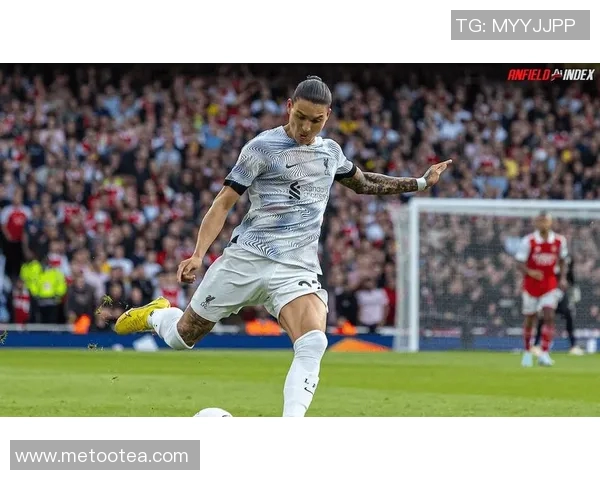 努涅斯在赛场上的崛起与挑战分析及未来发展展望