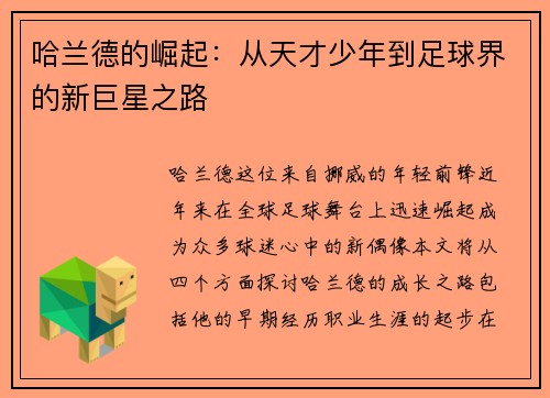 哈兰德的崛起：从天才少年到足球界的新巨星之路